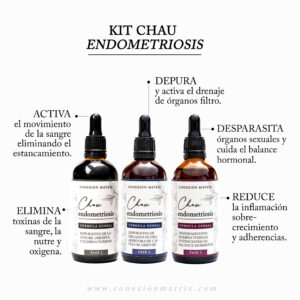 Kit Chau Endometriosis (tratamiento a base de hierbas en 3 fases)